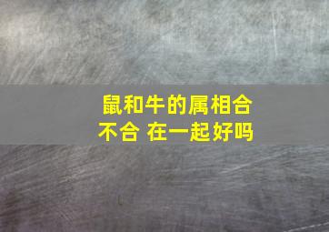 鼠和牛的属相合不合 在一起好吗